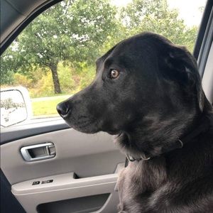 Meet your Posher, Lindseylindsey